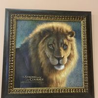 Brenda Kallin's profile image