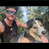 Phil Collin's profile image