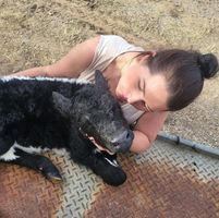 Elle Hinchcliffe's profile image