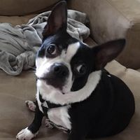 Ruth Hemstead's profile image