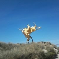 Fredrick Koeman's profile image