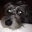 Allyson Edwards's profile image