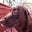 Nancy Lusardi's profile image