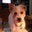 Darlene Griffin's profile image
