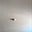Abdulaziz AlManie's profile image