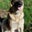 Michele Risner's profile image
