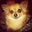 Cindy Shaw's profile image