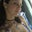 Flavia @ 911 Crossfit gym and boot camp's profile image