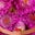 Bridgett Parsons's profile image