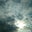 Robyn Burston's profile image