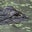 Michael Lawes's profile image