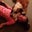 Katy Sircy's profile image