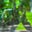 @76MaPaz's profile image