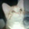 Abby Thompson's profile image