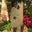 Satara Scott's profile image