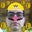 Shawn Phillippi's profile image