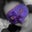 nidhi's profile image