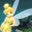 Rachael Moser's profile image