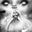 Thelma Ford's profile image