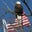 Jim Drees's profile image