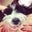 Nichole B-P's profile image