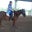 Germaine Cloninger's profile image