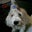 lee bergeron's profile image
