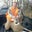 Jim Poehlman's profile image