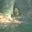 Shirley Mooring's profile image