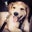 Jaimes Erwin-Spring II's profile image