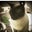 Kelli Wilson's profile image