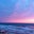 Samantha Nourse's profile image