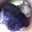 Sunje Schwarz's profile image