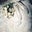 Alina D's profile image
