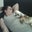 Heather Drewry's profile image