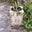 Pamela Arrington's profile image