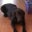 Christine Styron's profile image