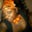 Trina Gray's profile image