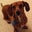 Tiffany Massengill's profile image