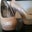 Jessie Bollen Redding's profile image