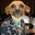 Bradly Dunbar's profile image