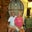 Anthony Mozzo's profile image