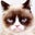 Taylor Thompson's profile image