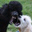 Lisa Titcomb's profile image