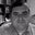 Rober Taylor's profile image