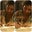 gabby b's profile image