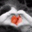 Ginger Dorsey's profile image
