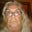 Rick Bowers's profile image