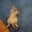 Chris Gerst's profile image