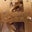 Mark Johnson's profile image